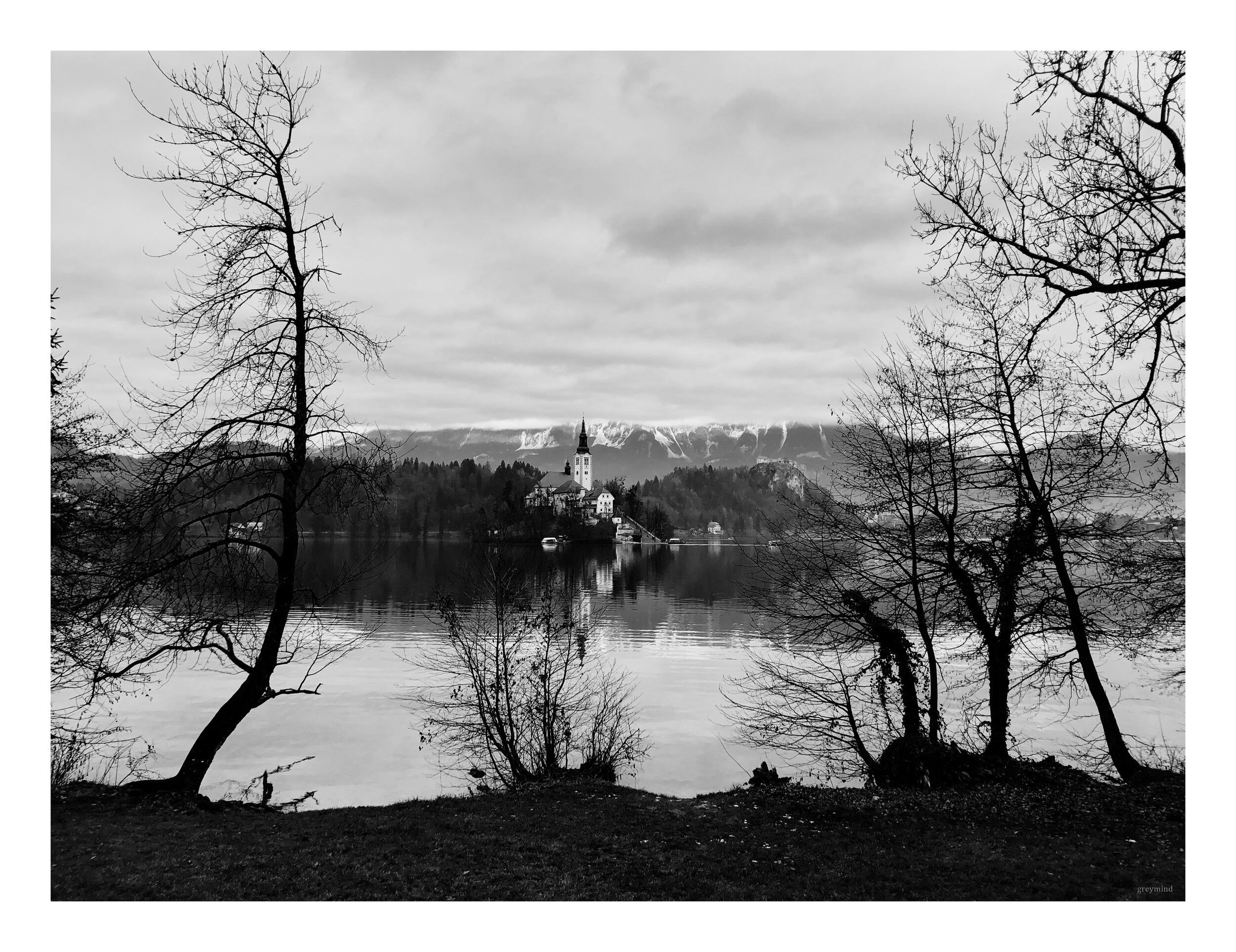 Black-and-white view across Lake Bled to the island church, framed by bare trees.
