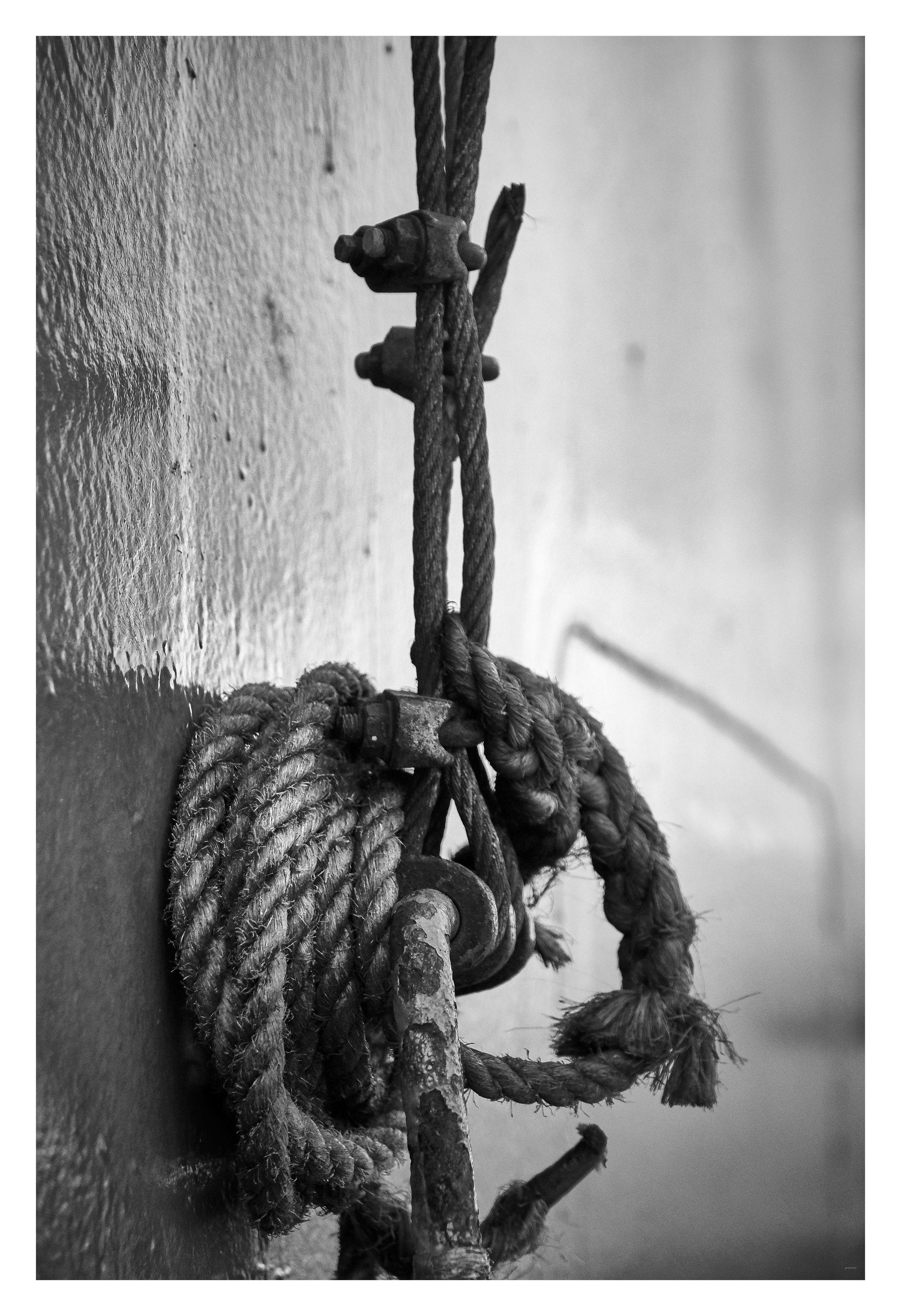 Black-and-white close-up of a coiled rope knotted around a metal hook on a weathered wall.